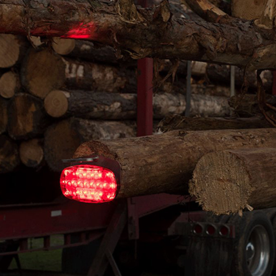 Foxfire logger lite kit - red light in use being displayed between tree logs during the night time.